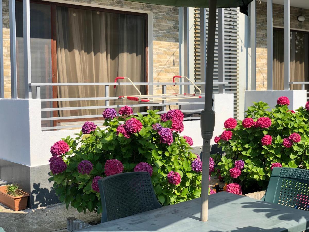Apollo Plus Cottages Ureki Extérieur photo
