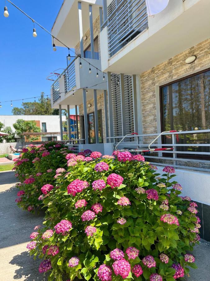 Apollo Plus Cottages Ureki Extérieur photo